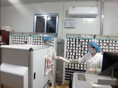 下载 (7) 下载 (7).png